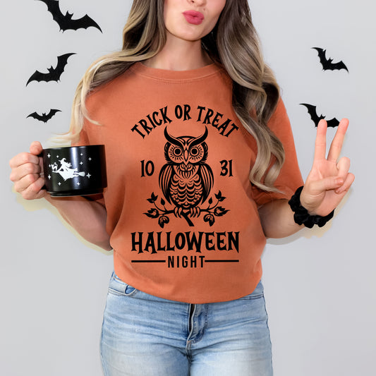 Trick Or Treat Owl | Garment Dyed Short Sleeve Tee