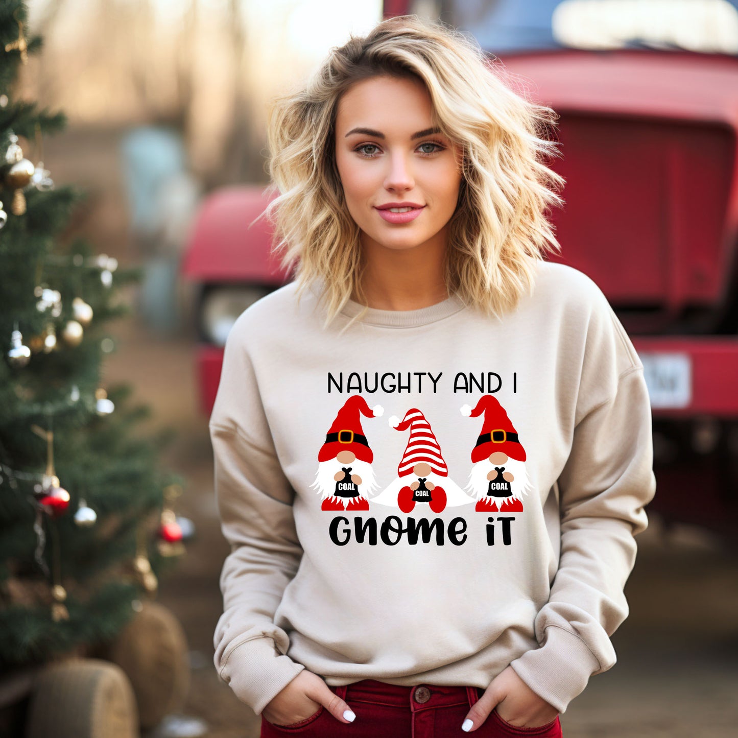 Naughty And I Gnome It | Sweatshirt