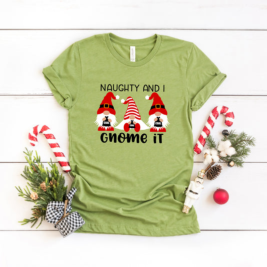 Naughty And I Gnome It | Short Sleeve Graphic Tee